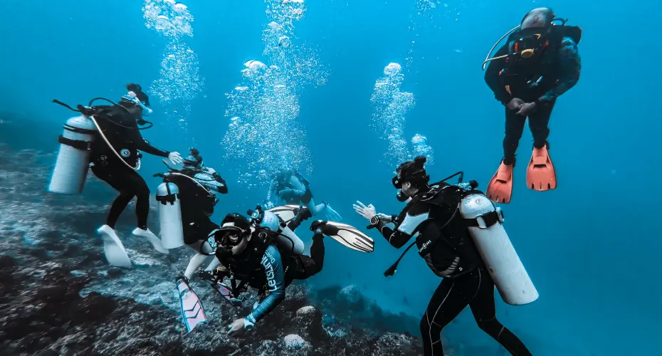 Small group of MSc Extreme Medicine students underwater wearing scuba diving gear, on a diving medicine residential in Oman