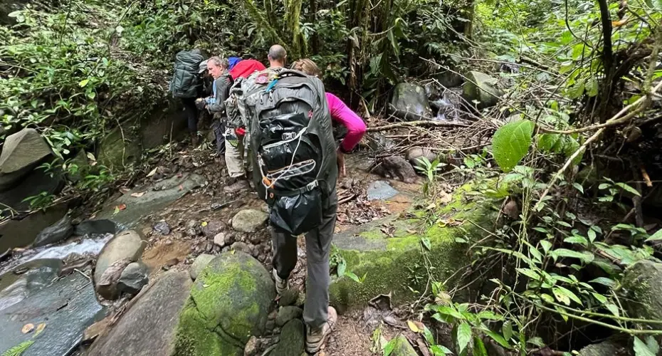 Extreme Medicine students trekking through a rainforest wearing backpacks