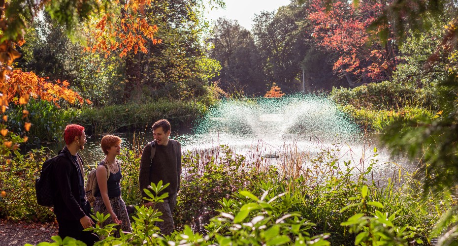 Pond on Streatham campus