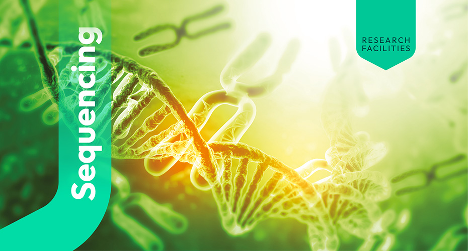 Depiction of sequencing