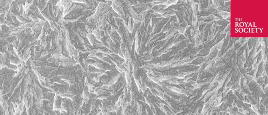 Phase Transitions in Semi-crystalline Polymer Manufacturing