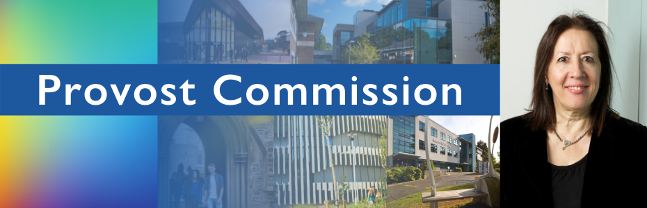 Banner Provost Commission