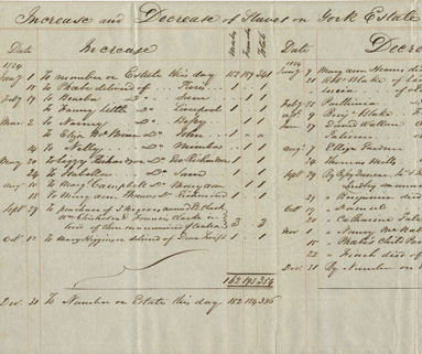 Gale Morant - highlight